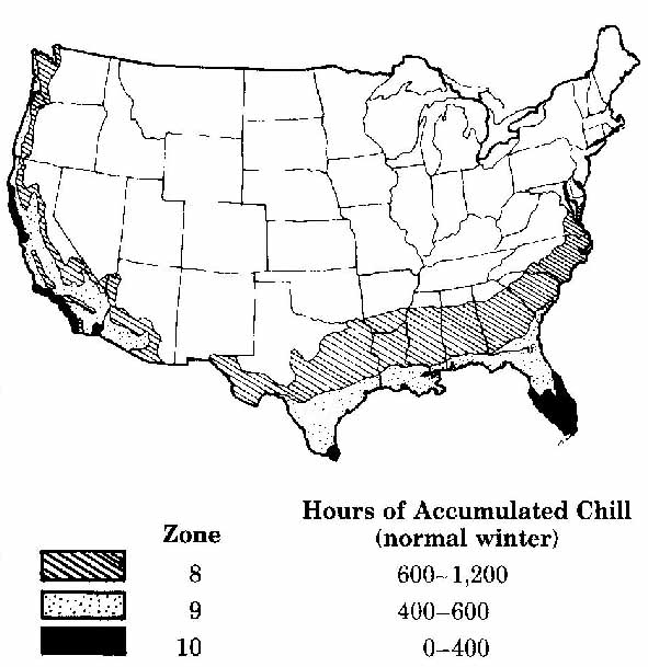This graphic shows the approximate chill hours accumulated in different parts of the country.